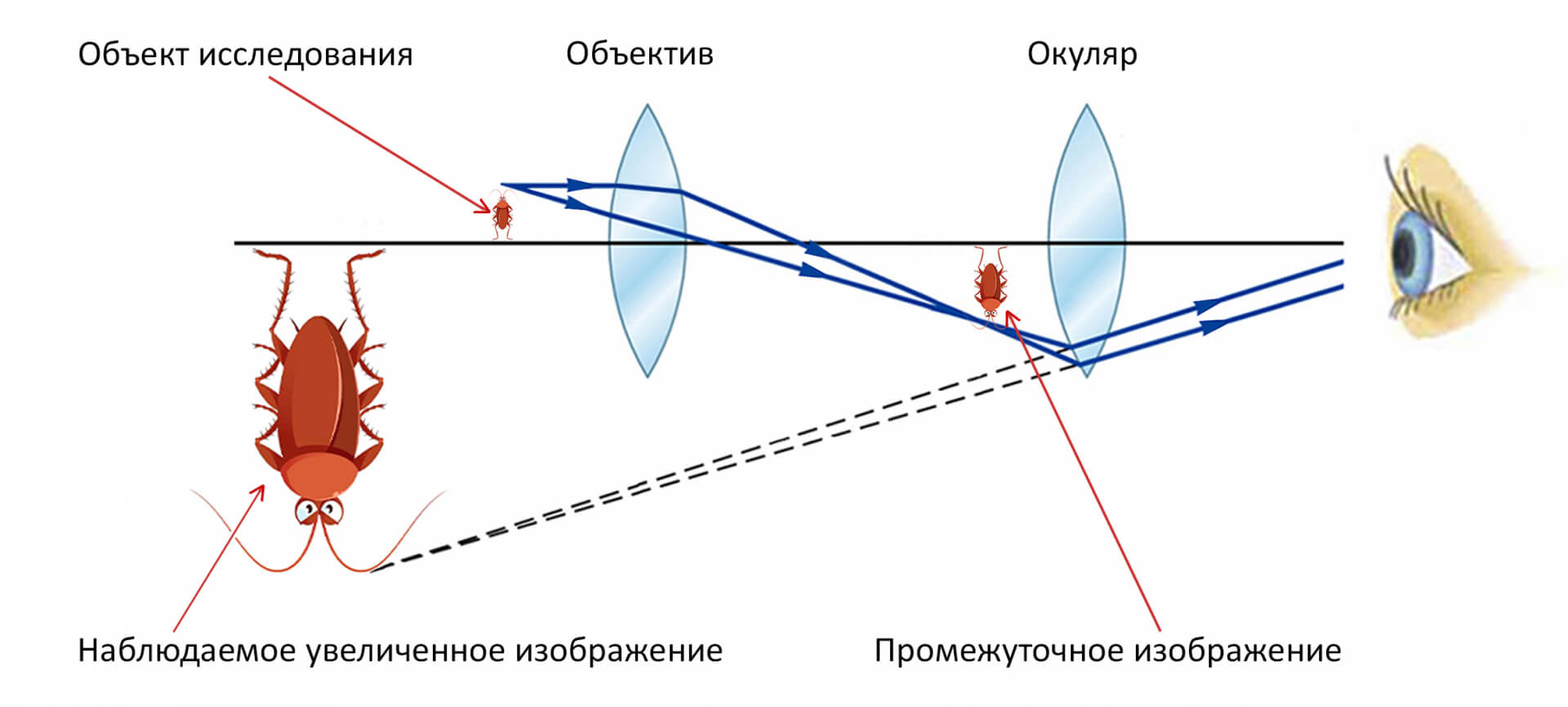 2-Схема.jpg 2-Схема.jpg