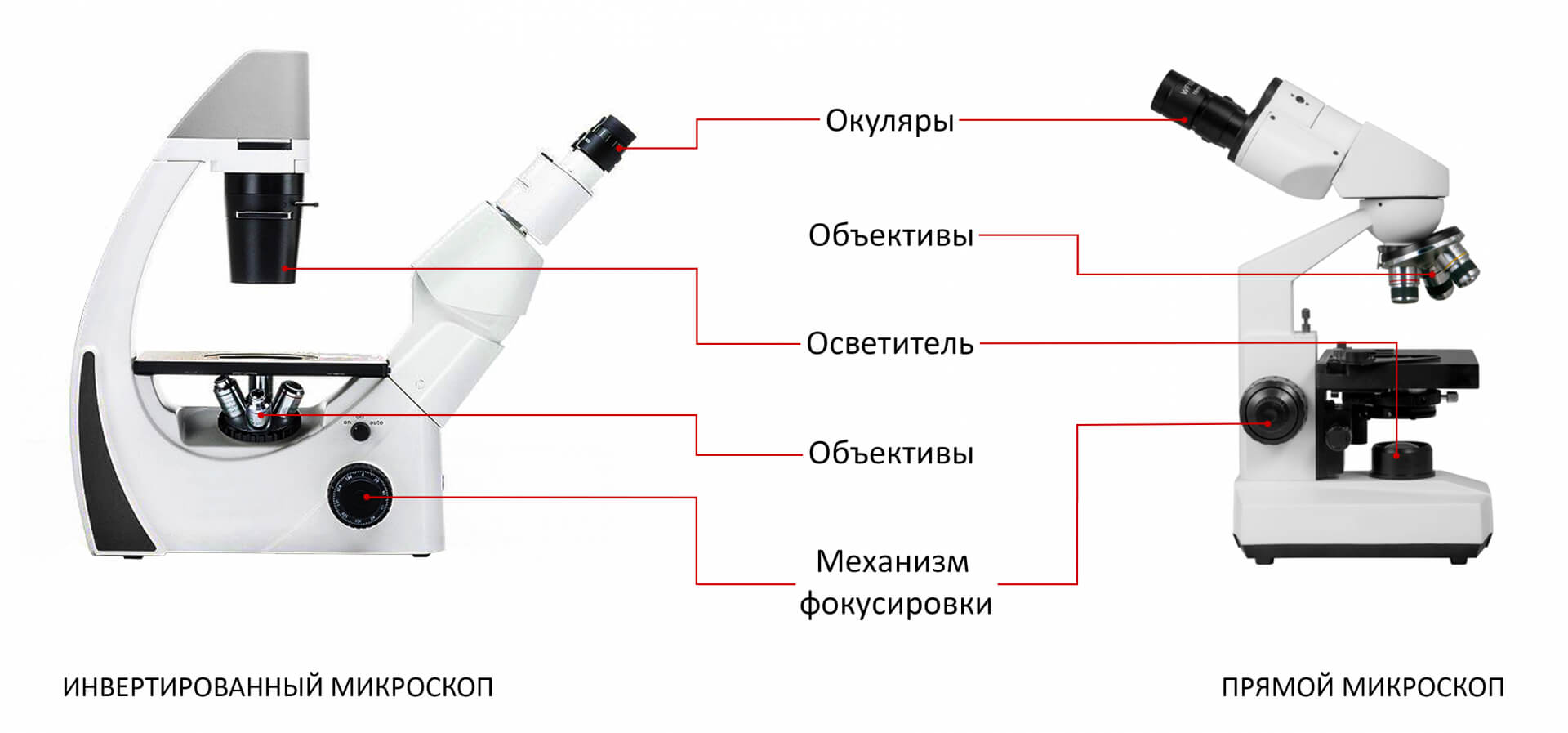 4.jpg 4.jpg